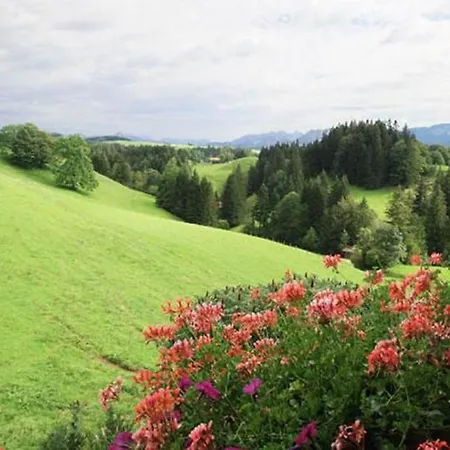 Haus Bergblick Apartment Oy-Mittelberg