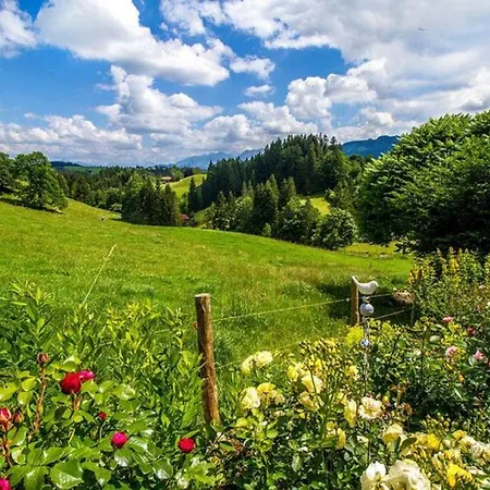 Apartment Haus Bergblick *